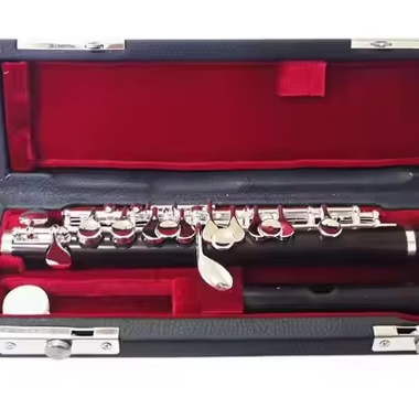Instrument muzyczny: piccolo z – Musical Instrument Piccolo recenzja i cena
